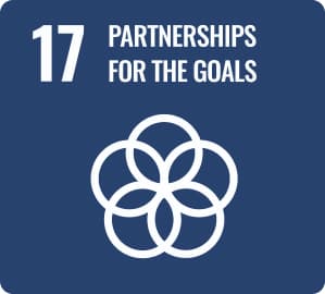 Number 17: Partnerships for the goals